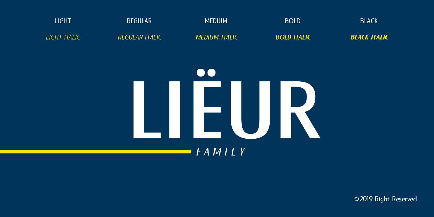 Lieur Light Italic Font preview